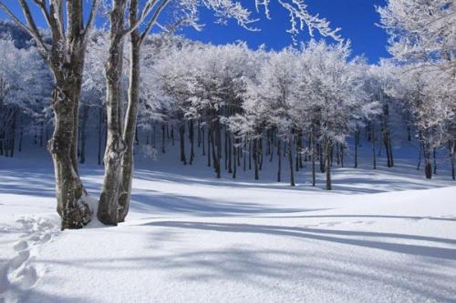 Balla Coi Lupi In Emilia - 