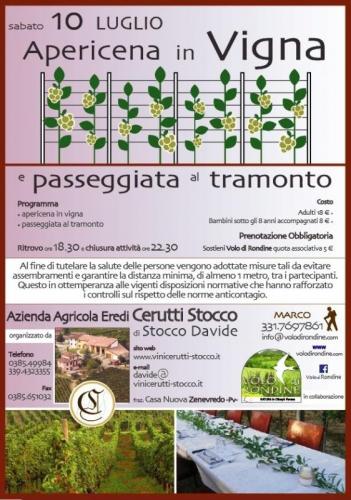 Passeggiata E Aperitivo In Vigna Il Risveglio Della Natura - Zenevredo