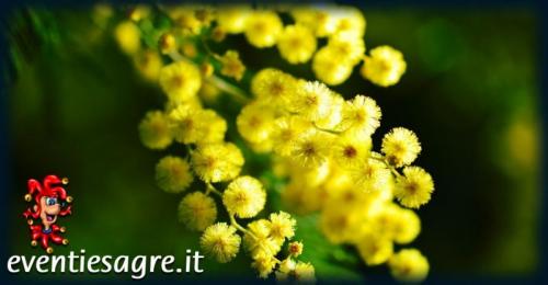 Festa Della Donna A Grantorto - Grantorto