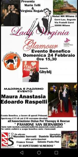 Evento Benefico Per I Cani San Bernardo A Segrate - Segrate