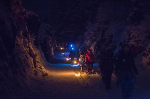 Carnevale Al Mülpoch A Folgaria - Folgaria