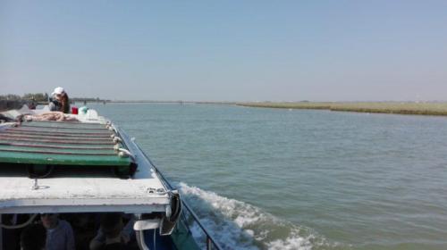 Laguna Veneziana In Bragozzo - Quarto D'altino