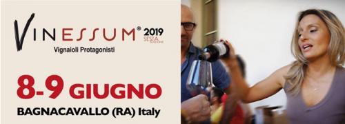 Vinessum Vignaioli Protagonisti A Bagnacavallo - Bagnacavallo