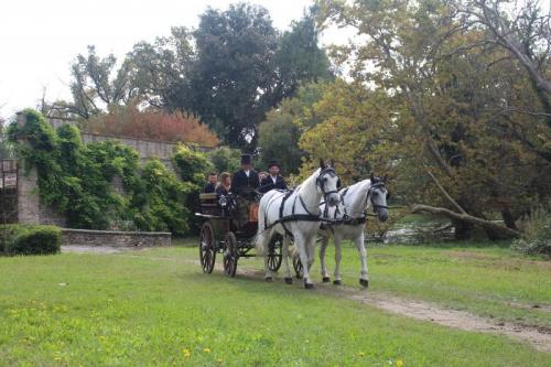 Tour In Carrozza D’epoca A Rive D'arcano - Rive D'arcano