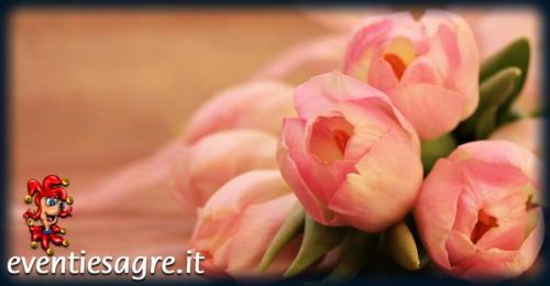 Giornata Dei Castelli Aperti In Emilia Romagna - Castrocaro Terme E Terra Del Sole