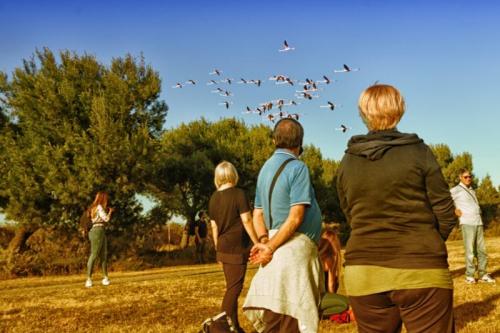 Theandric Teatro Nonviolento In Tour - Trieste