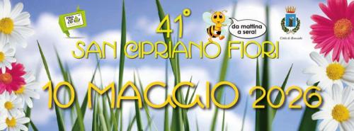 San Cipriano Fiori A Roncade - Roncade