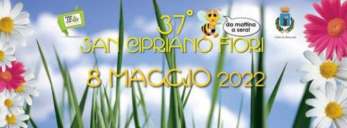 San Cipriano Fiori A Roncade - Roncade