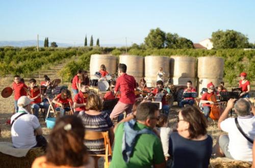 Musica D’insieme A Manfredonia - Manfredonia