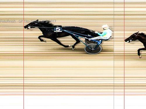 Gran Premio Giovanardi E Orlandi A Modena - Modena