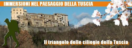 Il Triangolo Delle Ciliegie Della Tuscia - Celleno