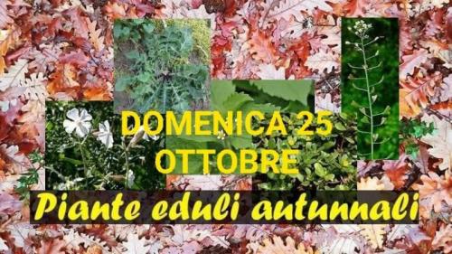 Alla Scoperta Delle Piante Mangerecce Del Friuli - Colloredo Di Monte Albano