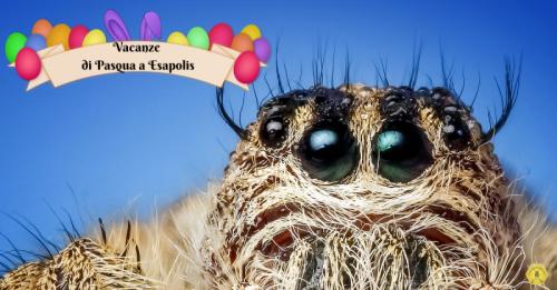 Vacanze Di Pasqua A Esapolis - Padova