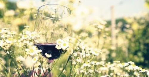 Indigena Wine Festival Manifestazione Dedicata Ai Vini - Costigliole D'asti