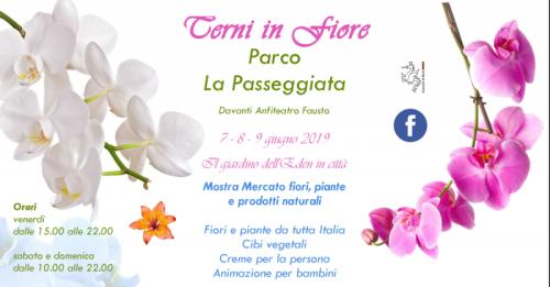 Terni In Fiore - La Festa Dei Fiori - Terni