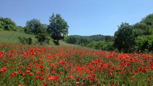 Gastrotrekking Serale Agli Orridi Di Marcellino - Torrazza Coste