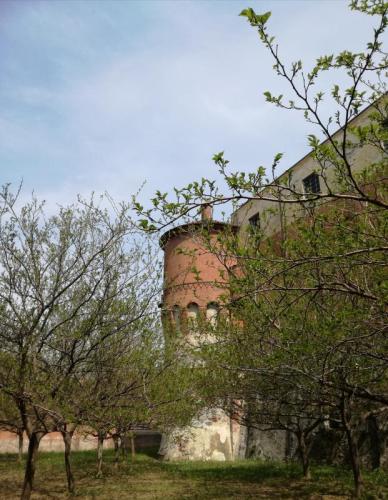 Giornata Internazionale Dei Musei A Saluzzo - Saluzzo