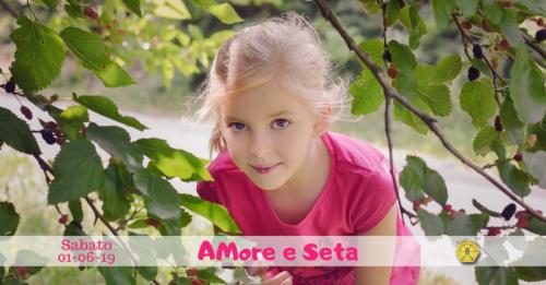 Amore E Seta A Padova - Padova