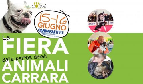 La Fiera Dalla Parte Degli Animali A Carrara - Carrara