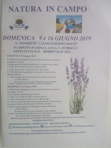 Natura In Campo A Morrovalle - Morrovalle