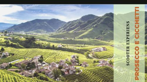 Scooter Experience Tour Enogastronomico Tra I Vigneti - Treviso