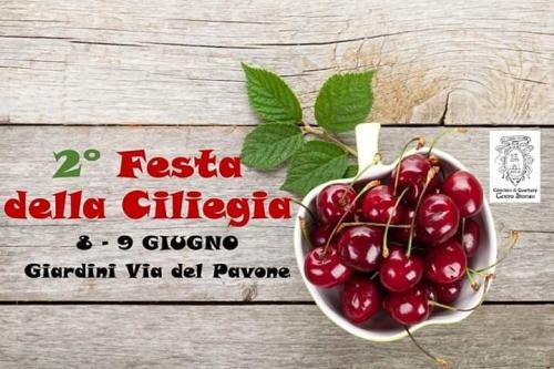 La Festa Della Ciliegia A Artena - Artena