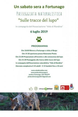 Passeggiata Notturna Sulle Tracce Del Lupo - Fortunago