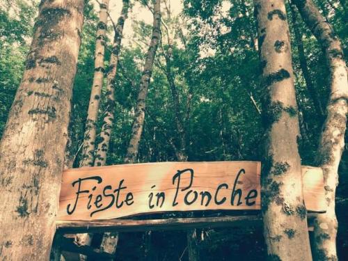 Fieste In Ponche A Faedis - Faedis