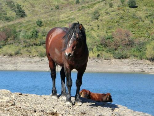 Eventi Nelle Valli Del Parco Dell'aveto - 