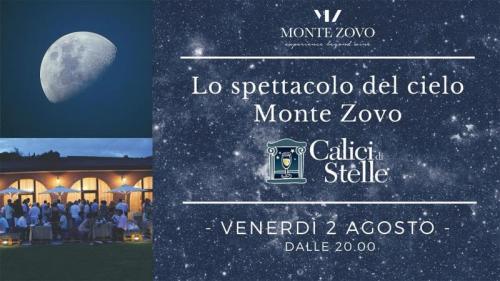 Calici Di Stelle In Azienda Agricola Monte Zovo - Caprino Veronese