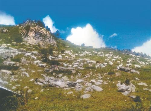 Festa Alla Balma A Frabosa Sottana - Frabosa Sottana