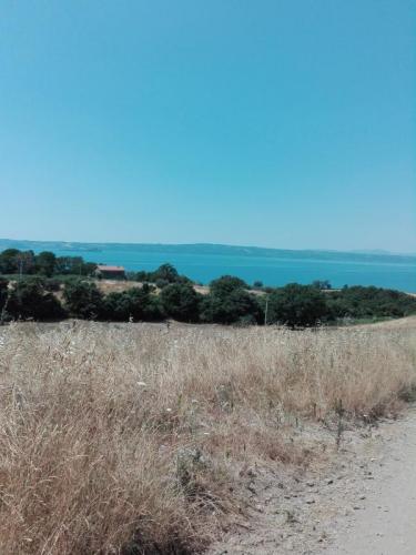 Il Cammino Del Lago A Montefiascone - Montefiascone