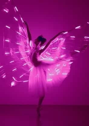 Summer Music Show A Napoli - Napoli