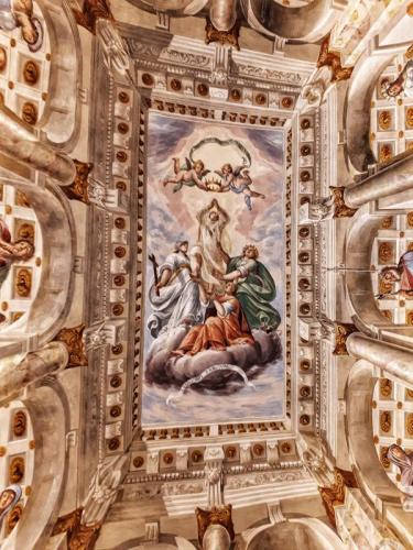 Visite Guidate Al Museo Della Certosa Di Pavia - Certosa Di Pavia