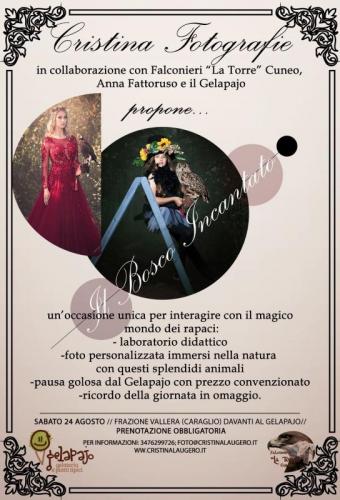 Il Bosco Incantato A Vallera - Caraglio