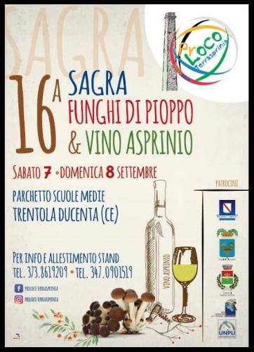 La Sagra Dei Funghi Di Pioppo E Vino Asprinio - Trentola-ducenta