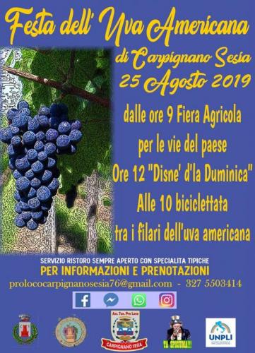 Fiera Agricola A Carpignano Sesia - Carpignano Sesia