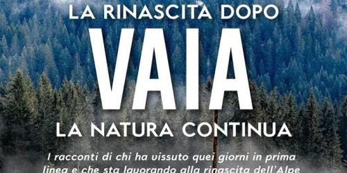 La Rinascita Dopo Vaia! La Natura Continua - Folgaria