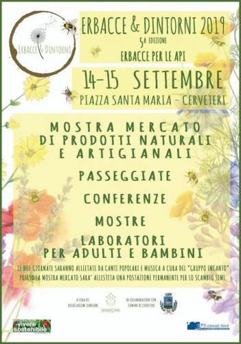 Erbacce E Dintorni A Cerveteri - Cerveteri