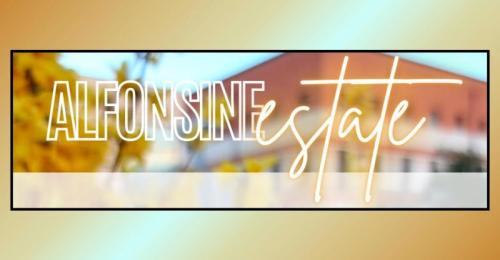 Festa Del Volontariato A Longastrino Di Alfonsine - Alfonsine