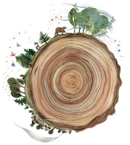 Orme - Festival Dei Sentieri A Fai Della Paganella - Fai Della Paganella