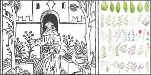 Mostra Mercato Di Piante A Chiaravalle Di Milano - Milano