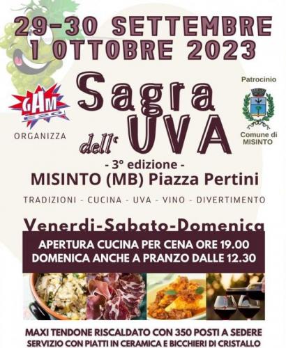 Sagra Dell'uva A Misinto - Misinto
