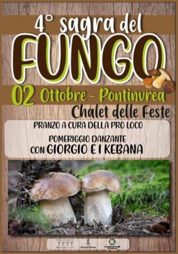 Sagra Del Fungo A Pontinvrea - Pontinvrea