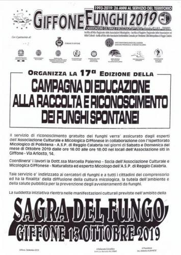Sagra Dei Funghi A Giffone - Giffone