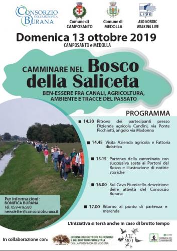 La Camminata Al Bosco Della Saliceta - Camposanto