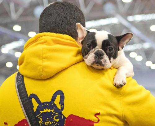 La Mostra Canina A Roma Winner - Roma