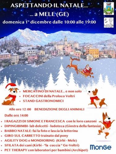 Aspettando Il Natale A Mele - Mele