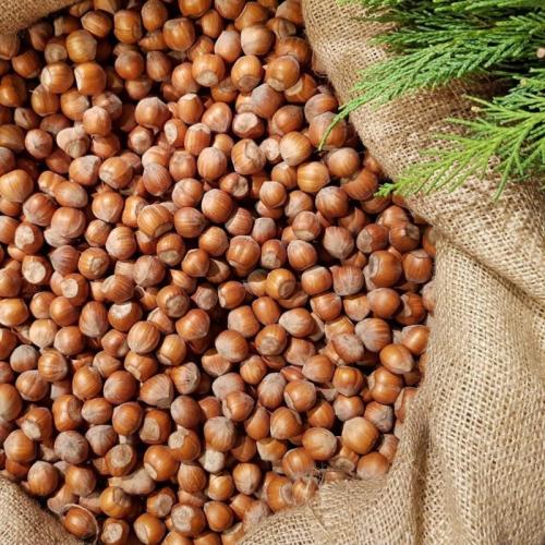 Tutti I Gusti Della Nocciola A Benevello - Benevello