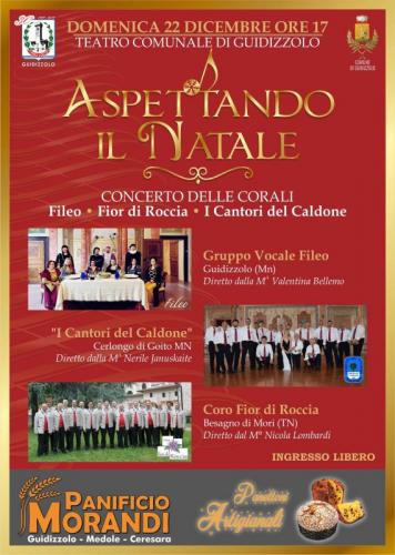 Aspettando Il Natale A Guidizzolo - Guidizzolo